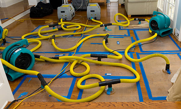 Professional Crawl Space Water Removal technician working in Efland, NC